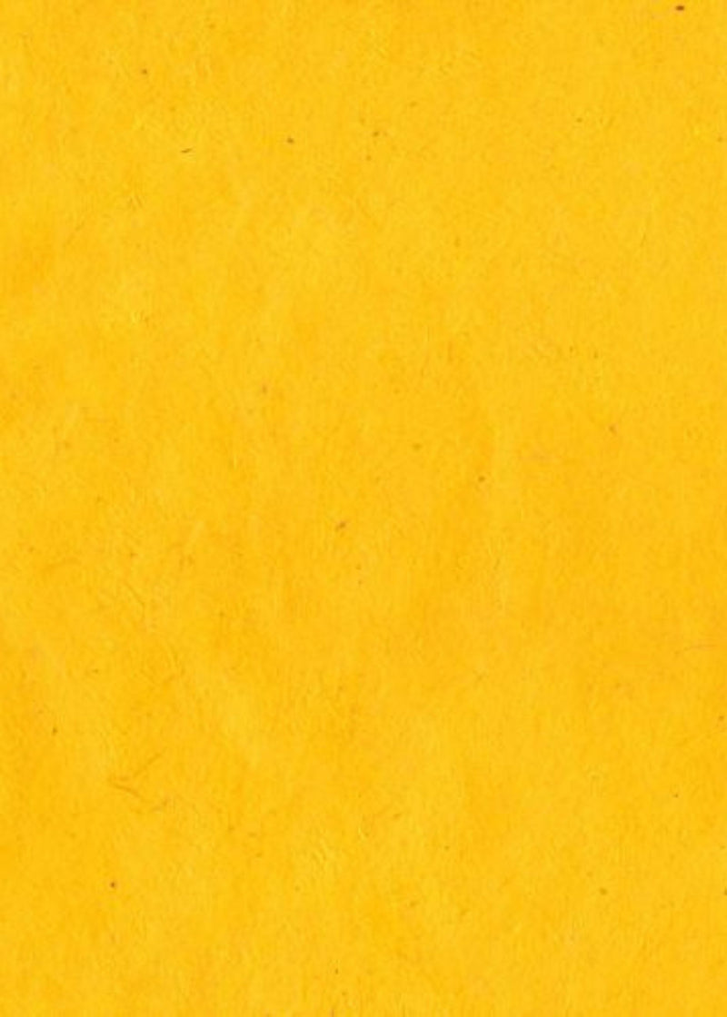 Nepalese Lokta Yellow