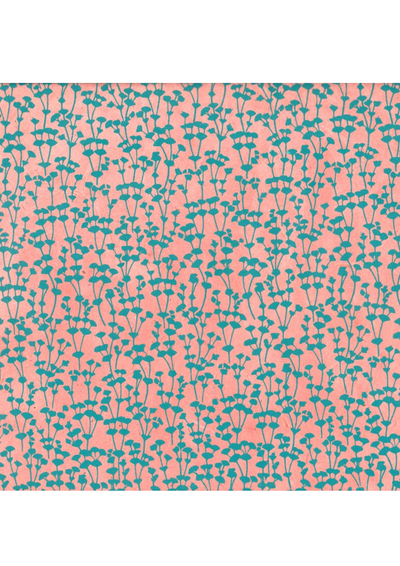 Nepalese Euphorbes - Liberties Papers