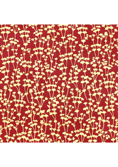 Nepalese Euphorbes - Liberties Papers