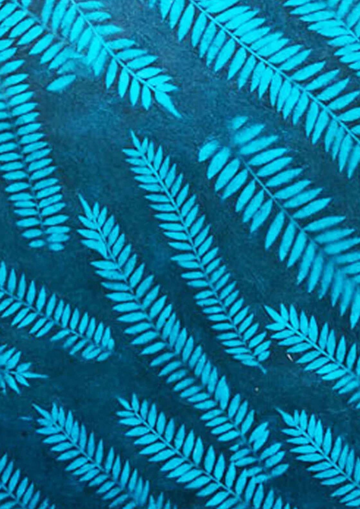 Nepalese Amala Leaf - Liberties Papers