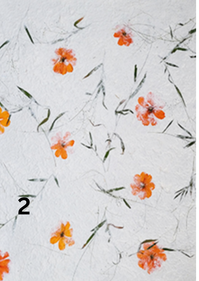 Thai Floral Papers - Liberties Papers