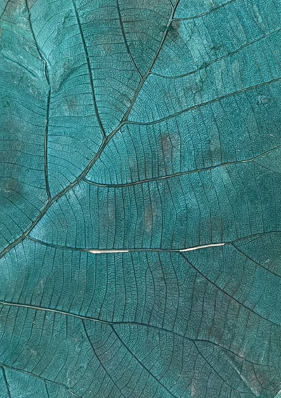 Teak Leaves - Liberties Papers