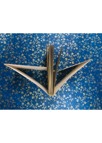 Button Hole Stitch Binding with Caroline Byrne