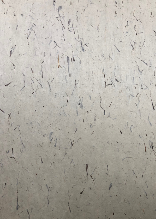 Nepalese Forest Floor