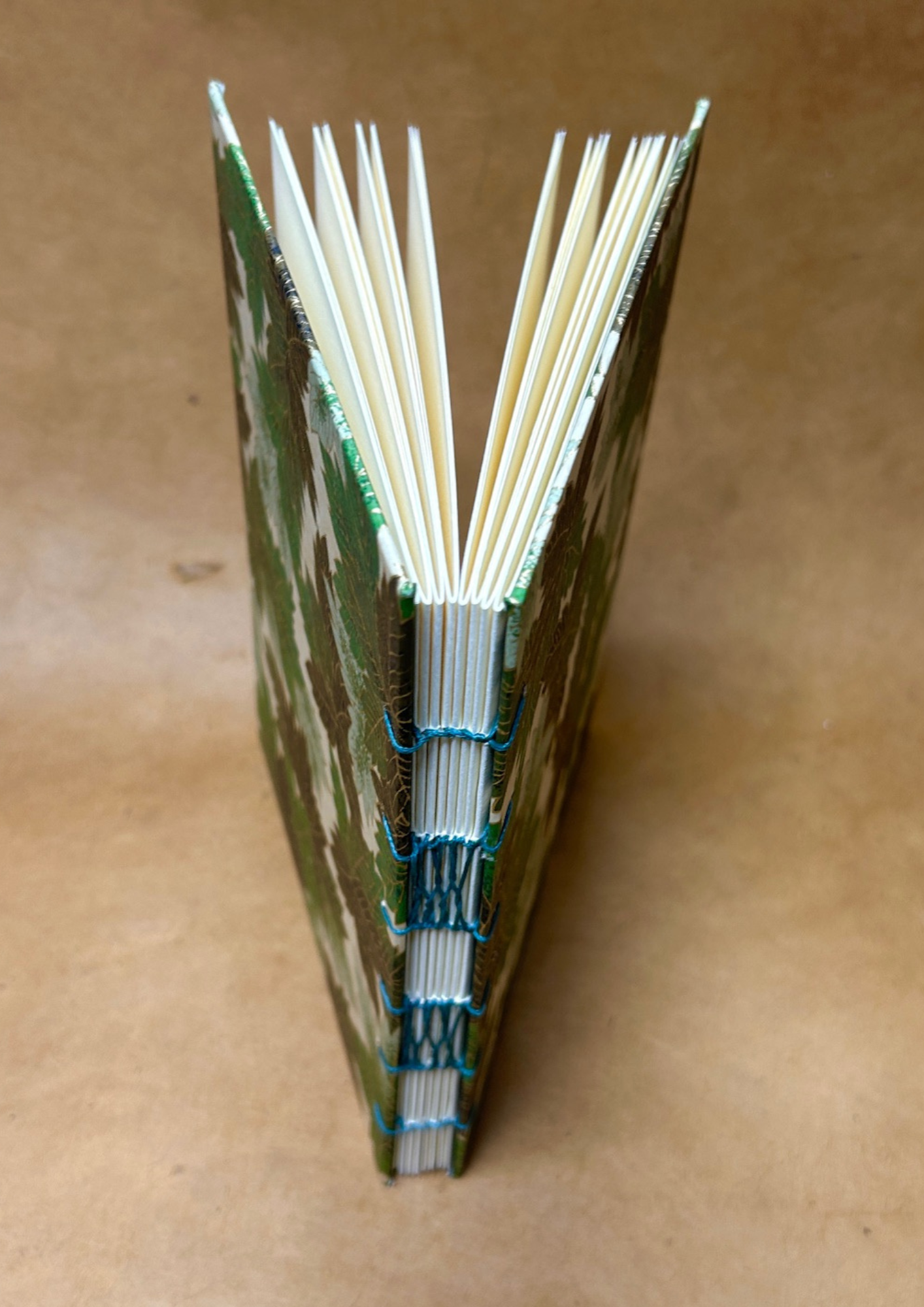 French Link Binding with Clarabelle Murphy