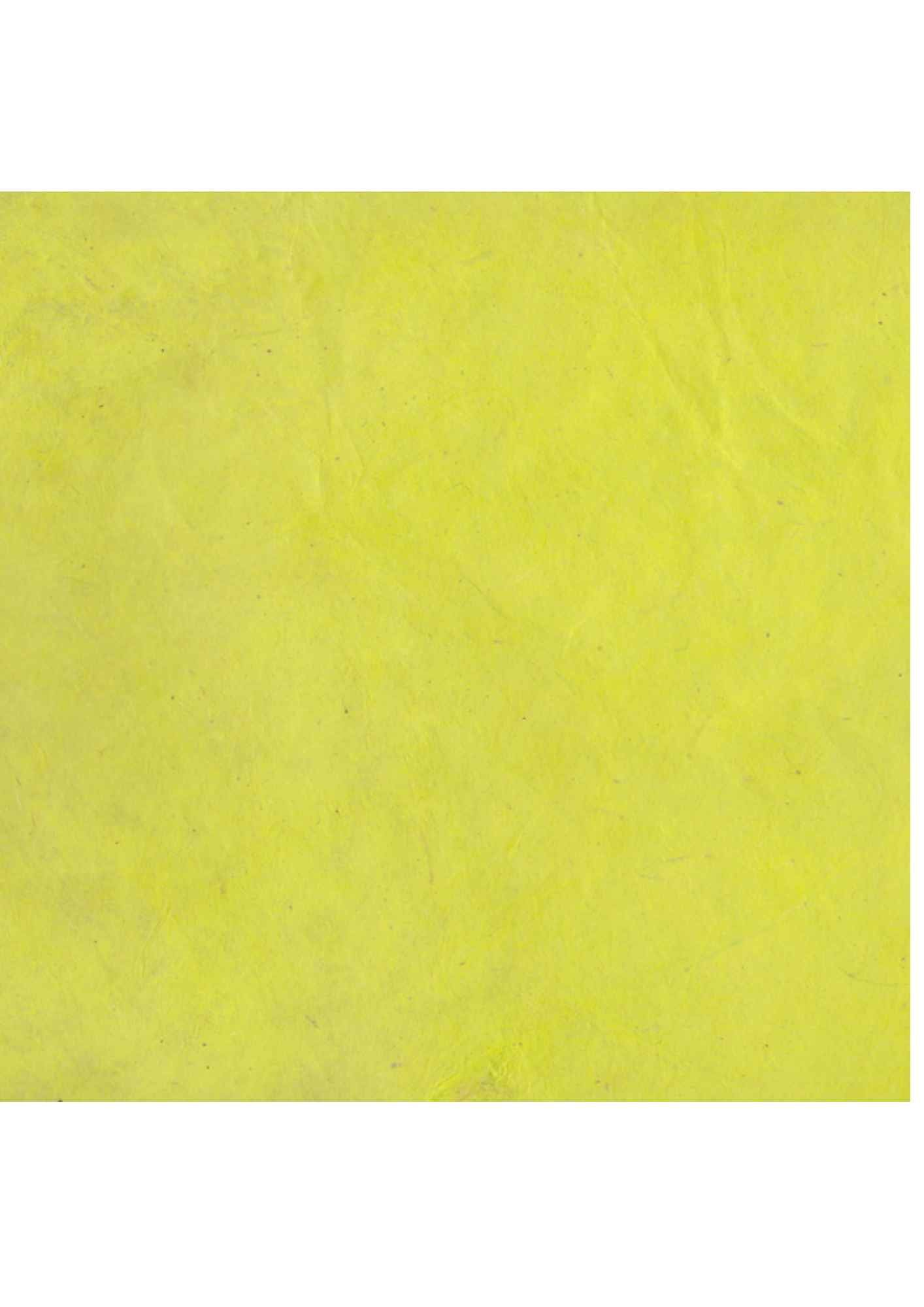 Nepalese Lokta Absinth