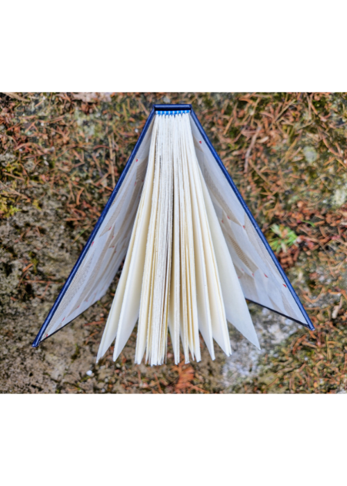 Case Bookbinding with Caroline Byrne