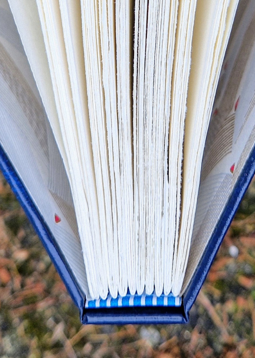 Case Bookbinding with Caroline Byrne