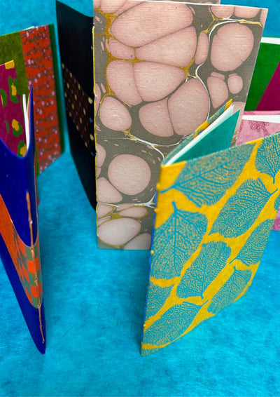 Single Section books with Sheila