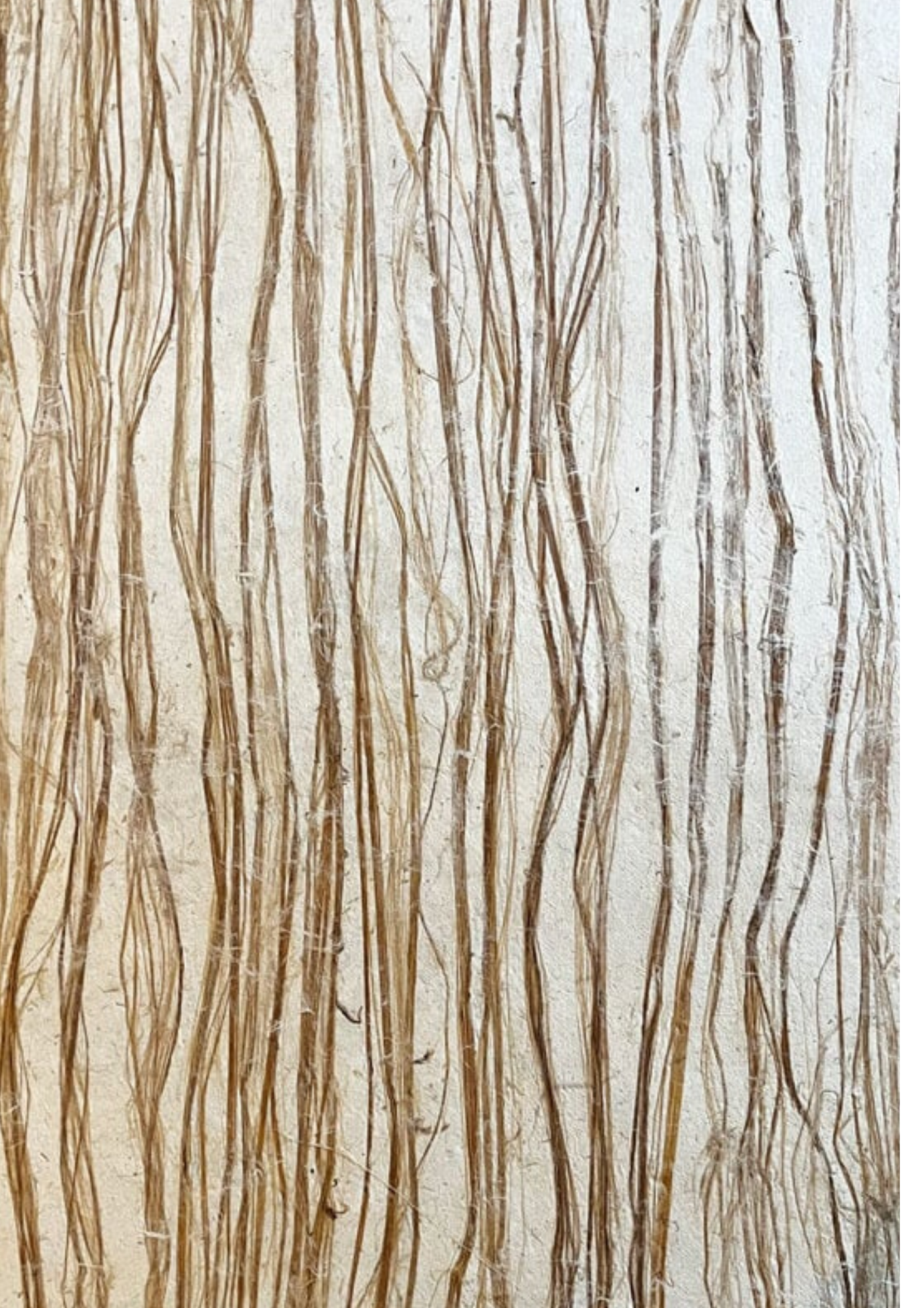 Thai Mulberry Long Fibres - Liberties Papers