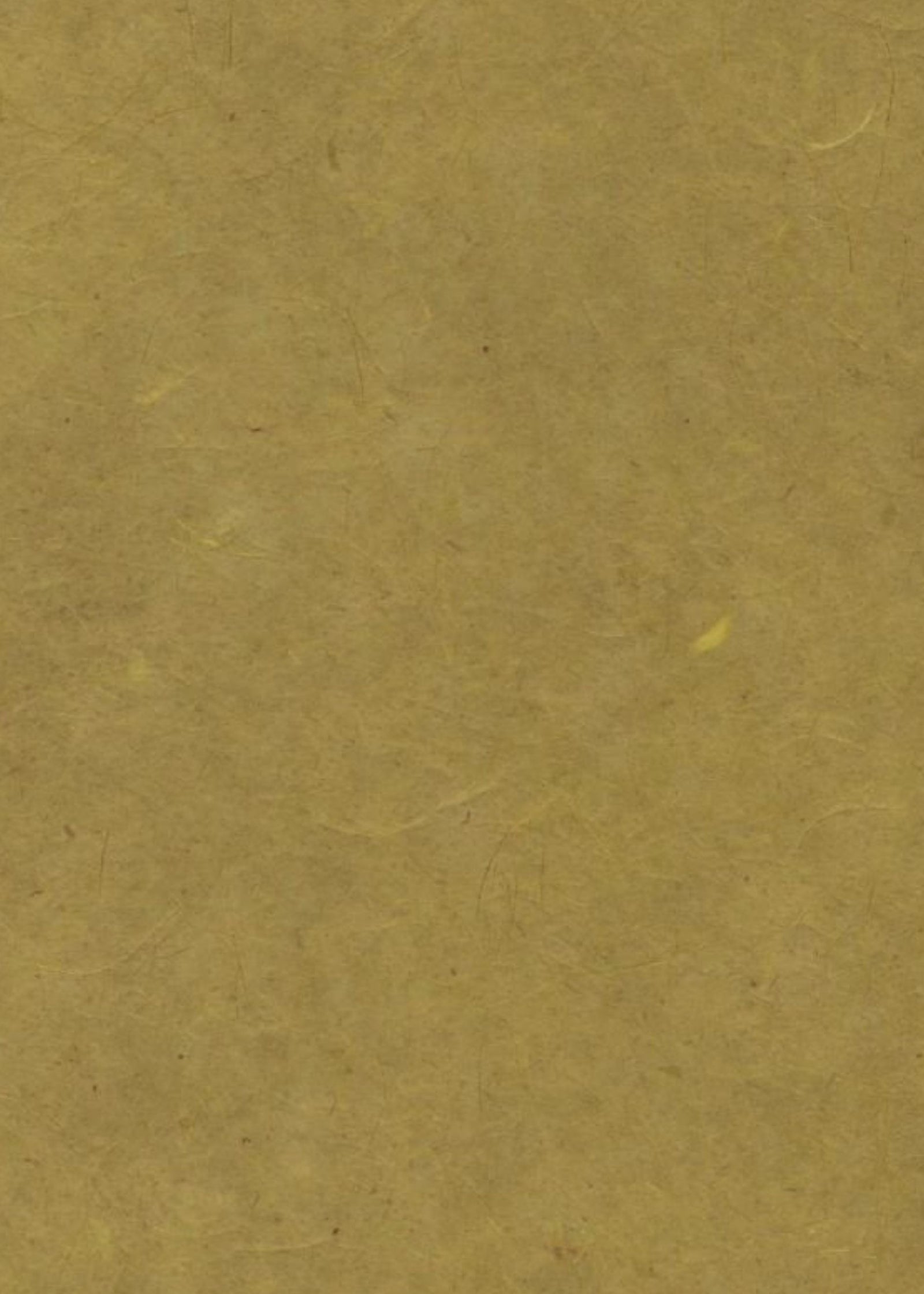 Filipino Banana 90gsm A4