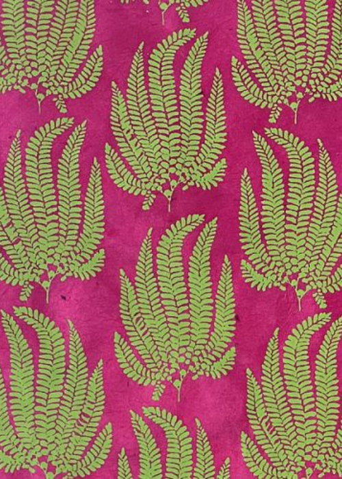 Nepalese Flame Fern