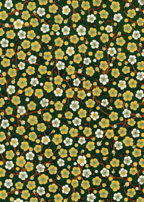 Chiyogami Nyugurin Yamanashi