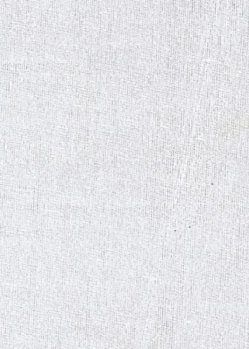 Indian Organdy