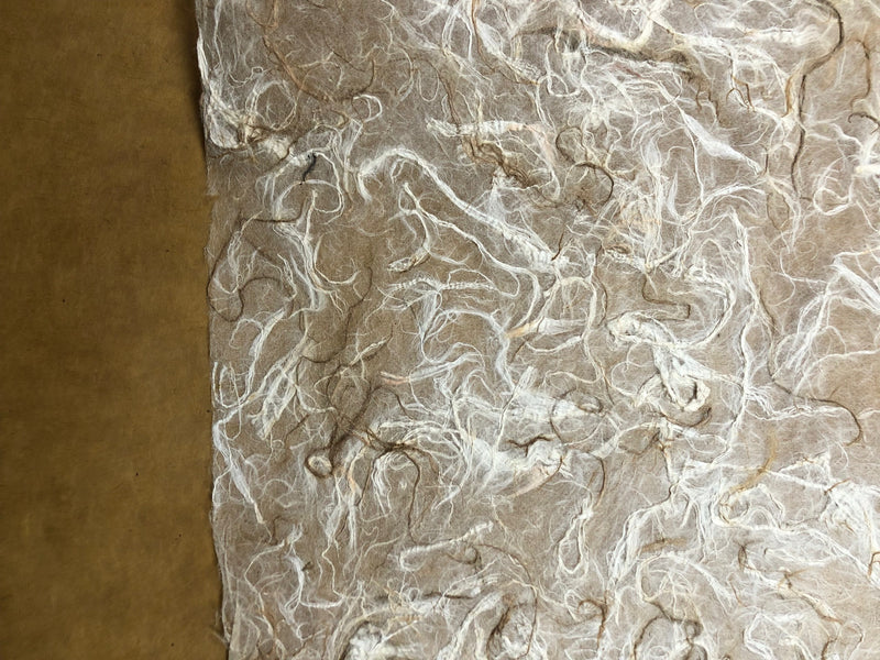 Thai Mulberry Wild Tissue