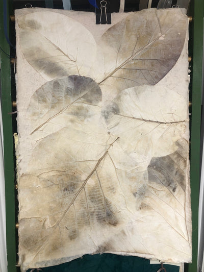 Teak Leaves - Liberties Papers