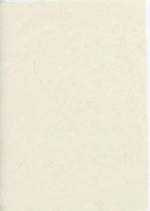 Tatami Binsen