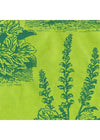 Nepalese Acanthus