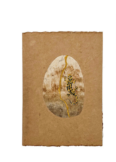 Palindrome Salamander Sketchbook