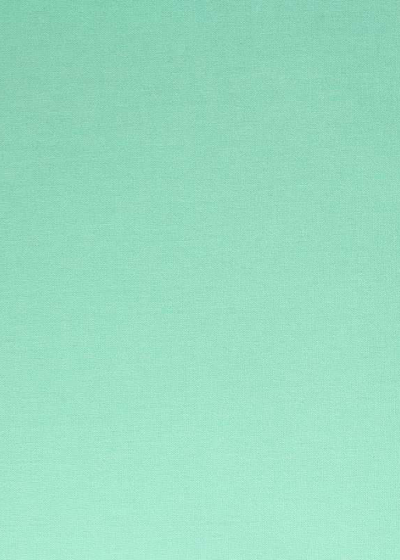 Bookbinding Cloth - Ora cotton