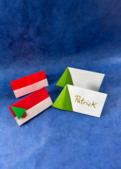 40 Minute Origami Workshops with Gabi Ferraro