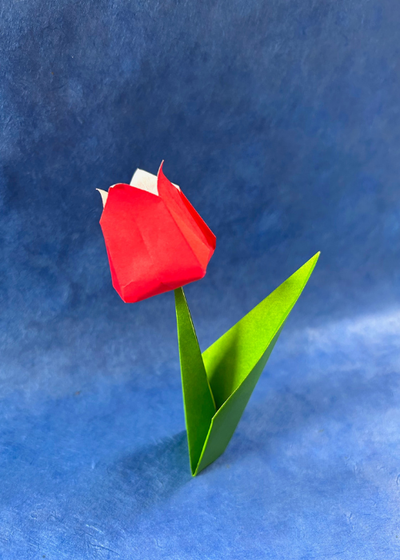 40 Minute Origami Workshops with Gabi Ferraro
