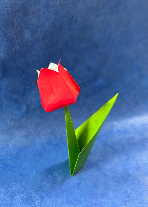 40 Minute Origami Workshops with Gabi Ferraro
