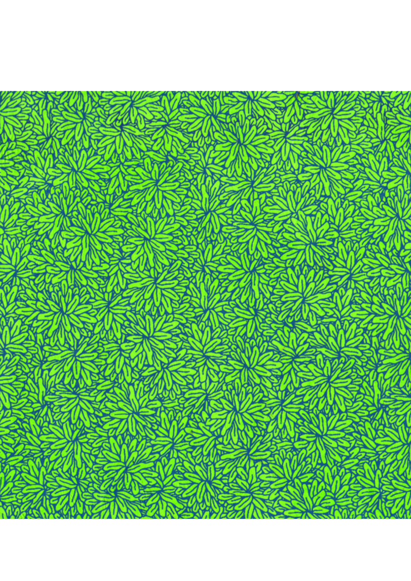 Nepalese Jungle - Liberties Papers