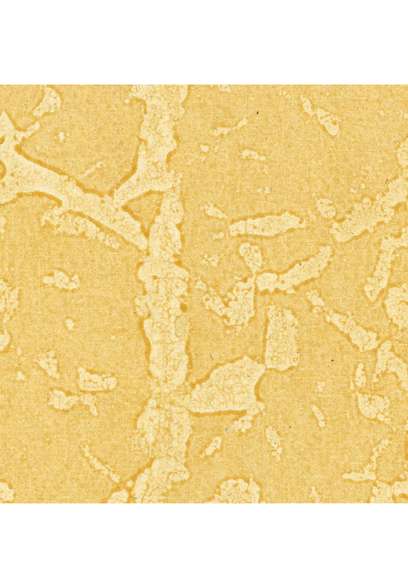 Golden Batik - Liberties Papers