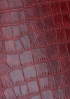 Bonded Leather Amazona