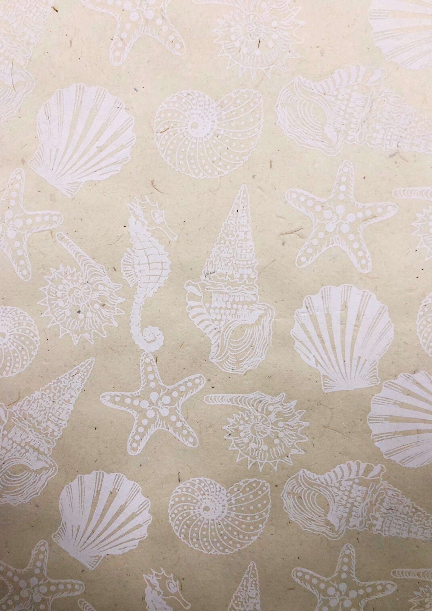 Nepalese Seashell Print - Liberties Papers