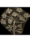 Wildflower Block