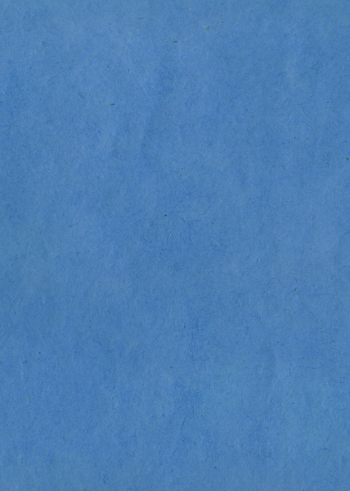 Nepalese Lokta Blue Jeans