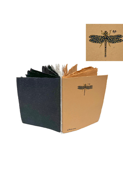 Dragonfly Sketchbook