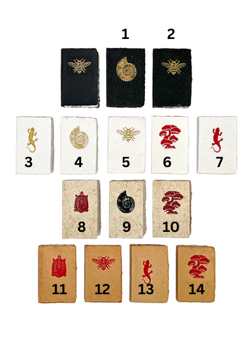 Lucky chance Notebook