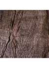 Mulberry Fibre