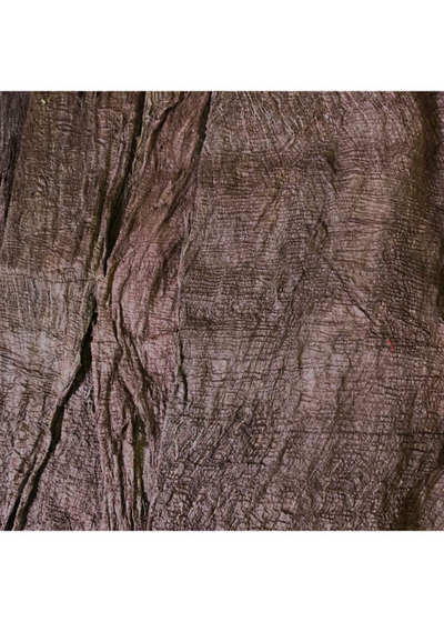 Mulberry Fibre