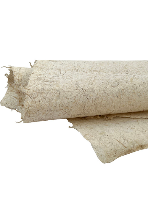 Indian Sisal