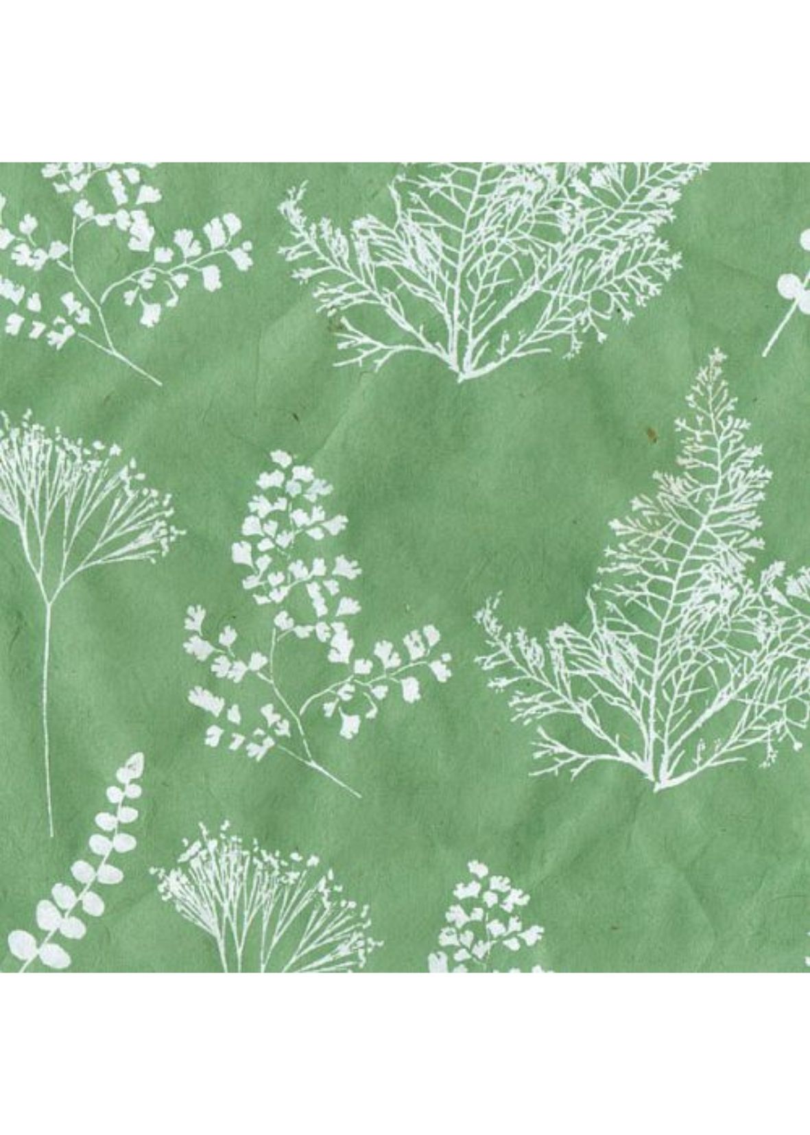 Nepalese Botanique - Liberties Papers