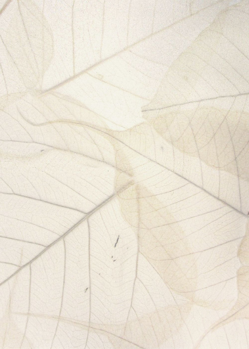 Natural Buddha Paper - Liberties Papers