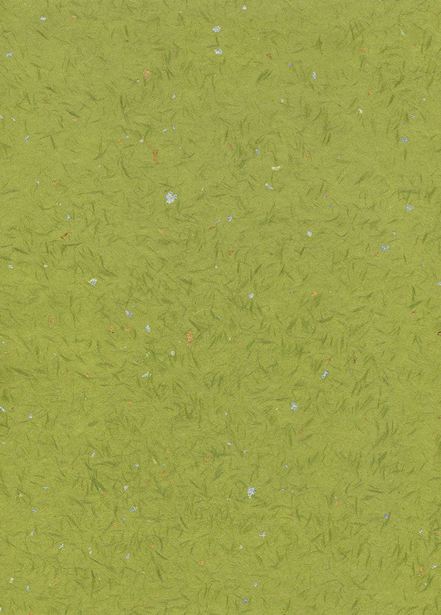 Obonai Feather Kingin - Liberties Papers