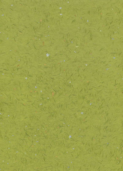 Obonai Feather Kingin - Liberties Papers