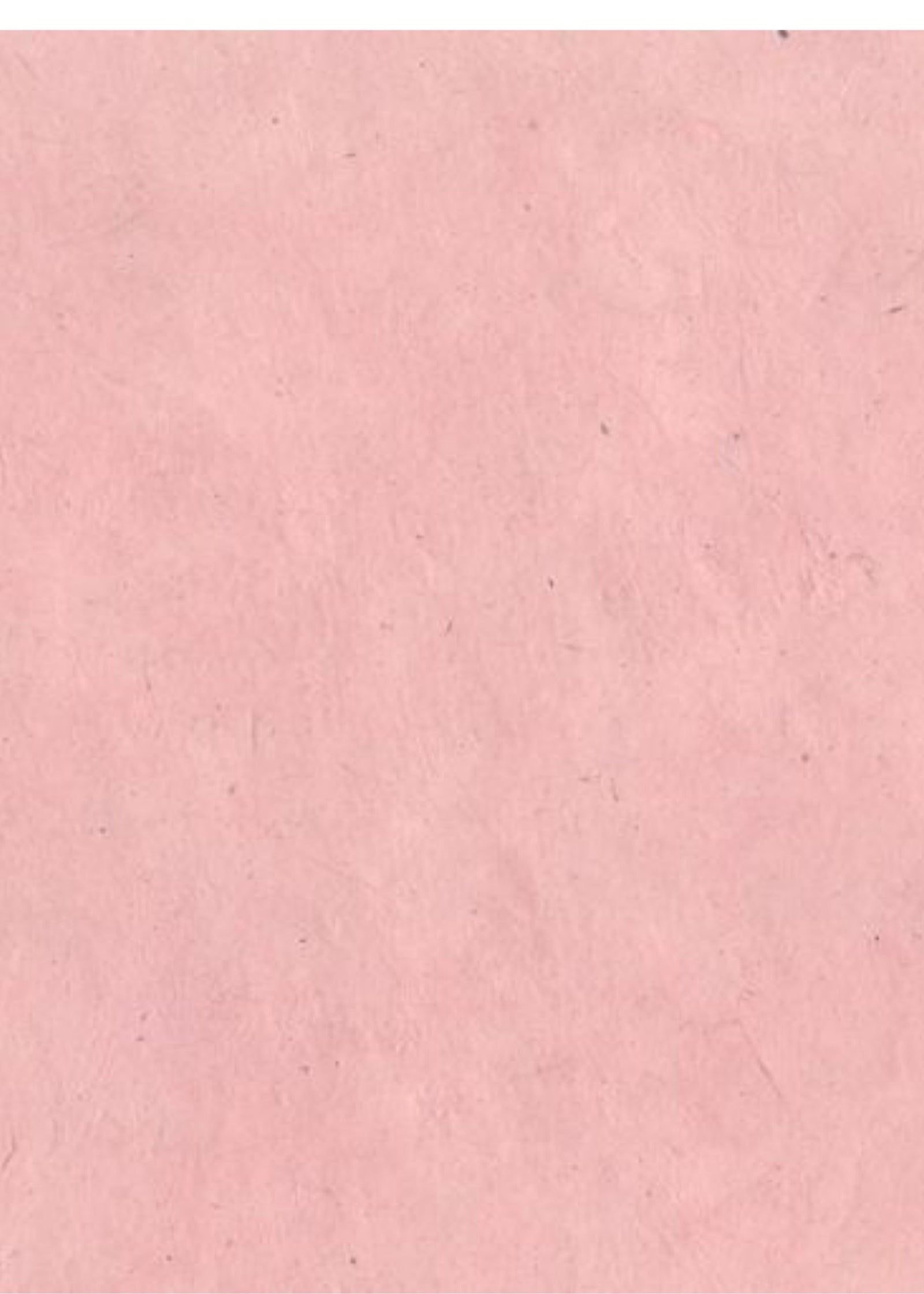 Nepalese Lokta Rose Pink