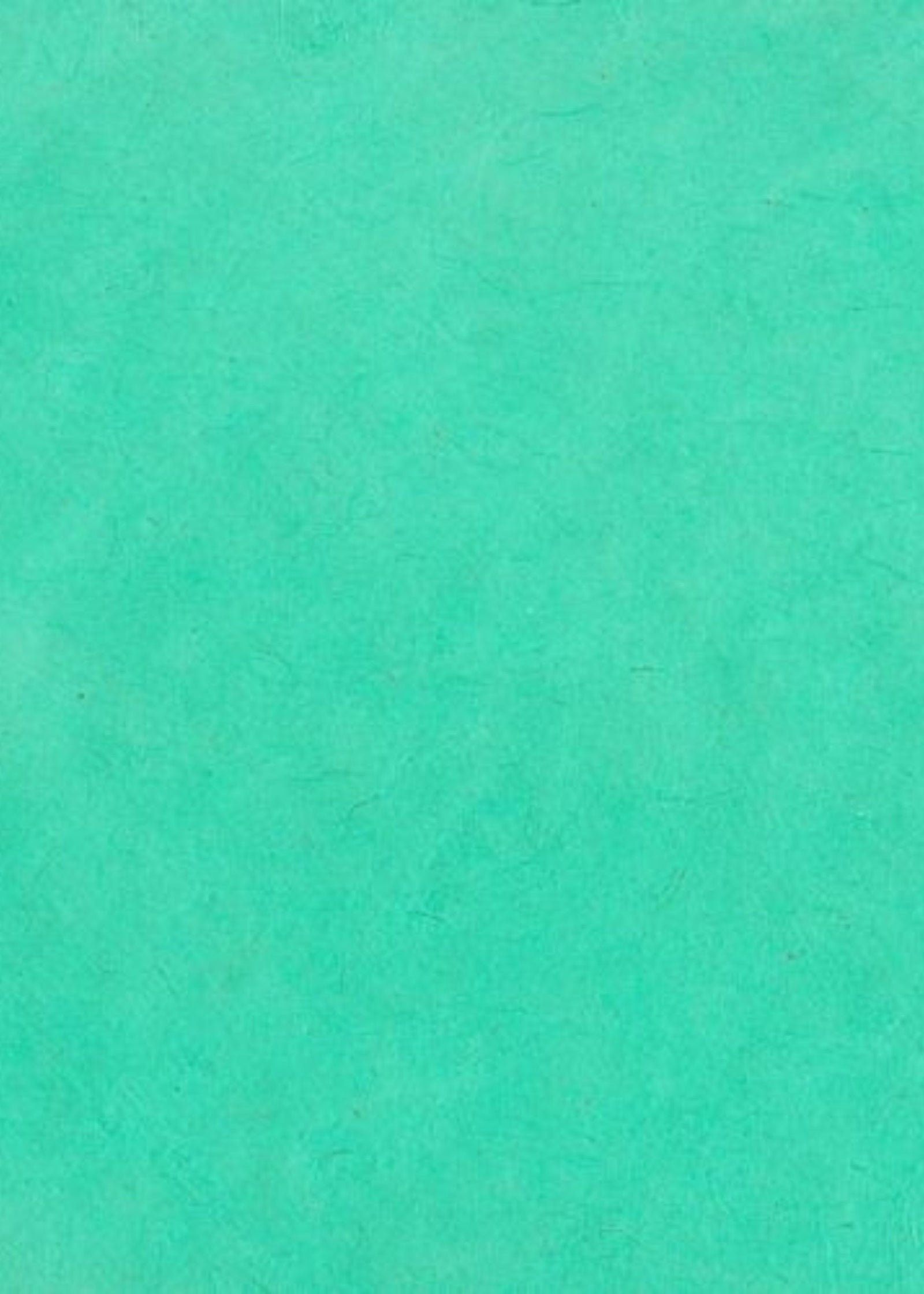 Nepalese Lokta Mint Green