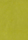 Nepalese Lokta Seaweed Green