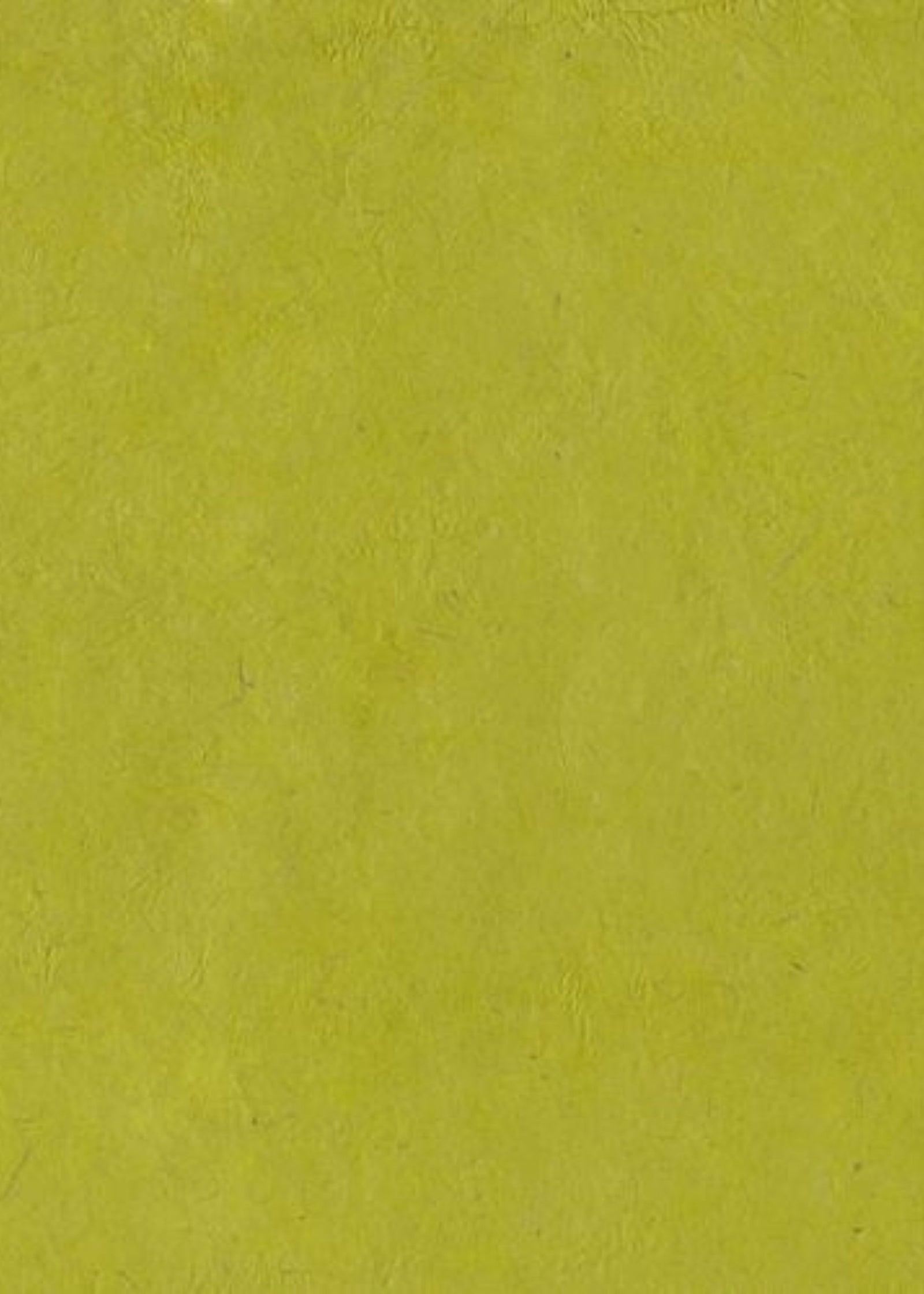 Nepalese Lokta Seaweed Green