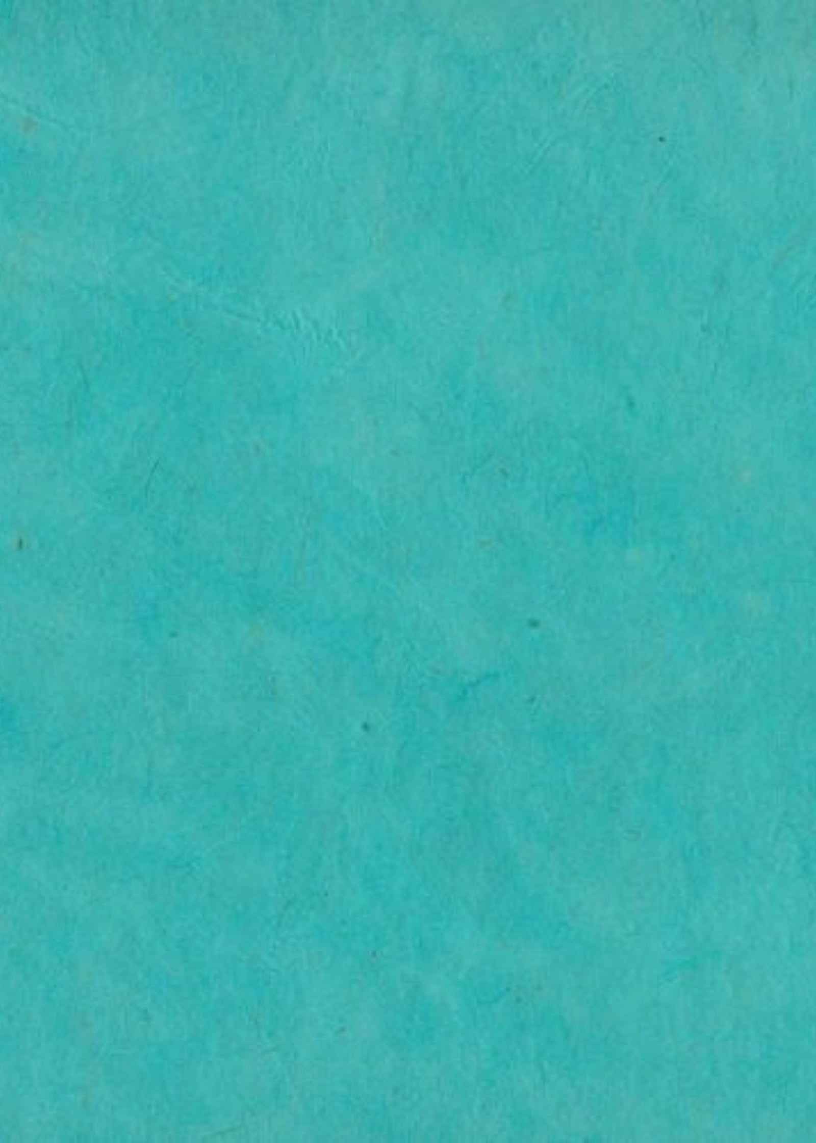 Nepalese Lokta Turquoise