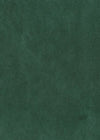 Nepalese Lokta Fir Tree Green