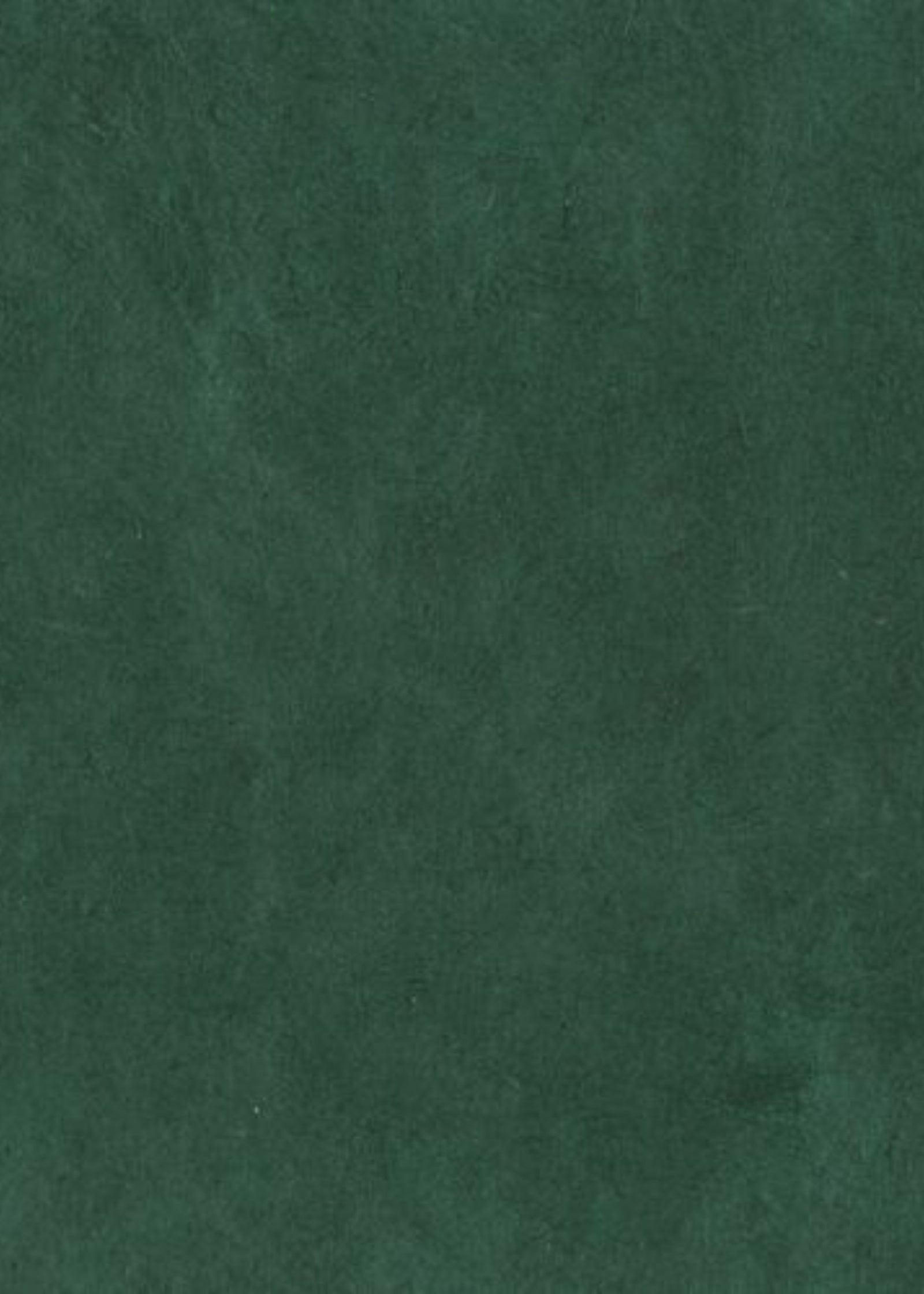 Nepalese Lokta Fir Tree Green