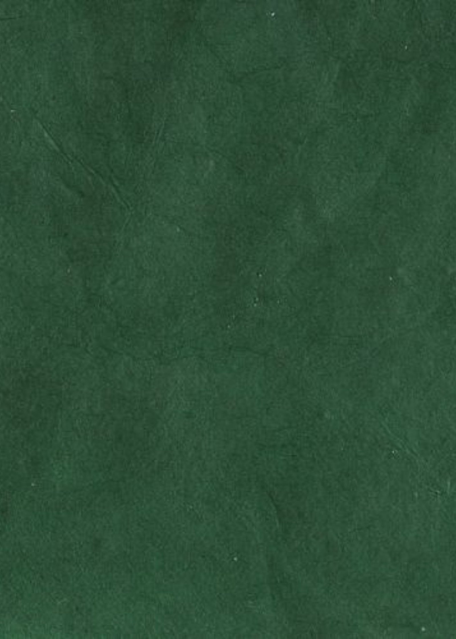 Nepalese Lokta Forest Green